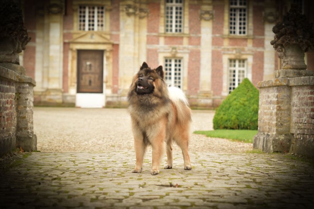 Unaï iksky Les Trésors D'Humaka